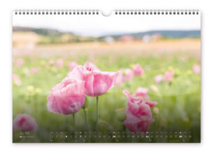 Werra-Meißner Kalender 2026 Juni Werra-Meißner Kalender 2026 Juni